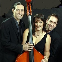 Cheek To Cheek Jazz Trio